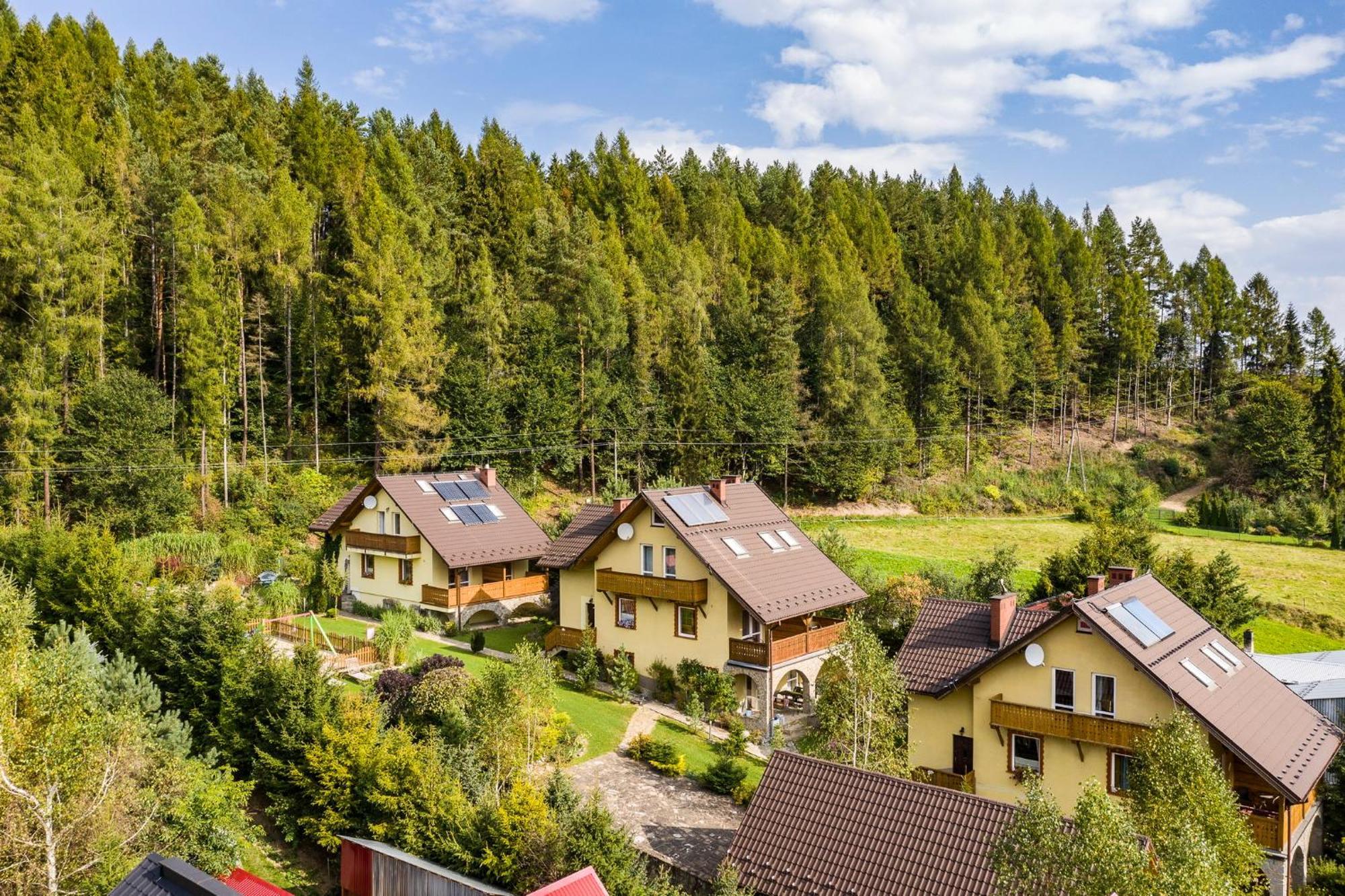 Apartamenty Zielona Owieczka Nedec Kültér fotó