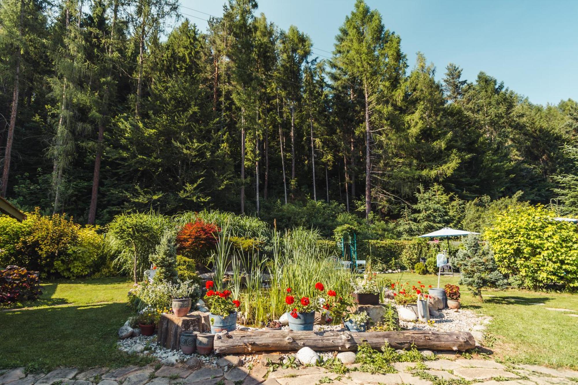 Apartamenty Zielona Owieczka Nedec Kültér fotó